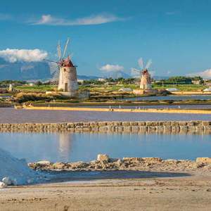 INVEST Summer School 2025 - Mediterrenian Diet, Biodiversity and Functional Food (MEDEA) 