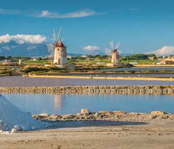 invest-alliance.eu INVEST Summer School 2025 - Mediterrenian Diet, Biodiversity and Functional Food (MEDEA) 