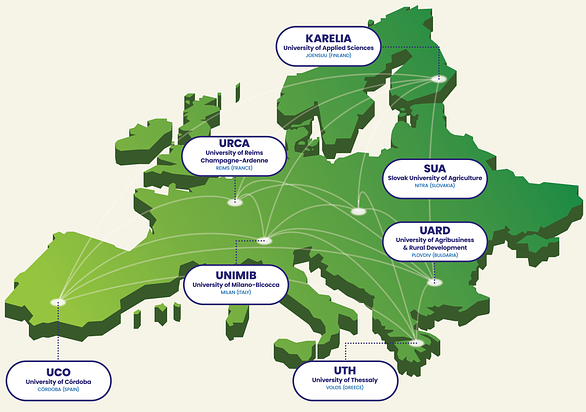 invest-alliance.eu European University Alliance